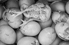 德州市德城區(qū)萬(wàn)順?lè)趸O(shè)備廠(chǎng)